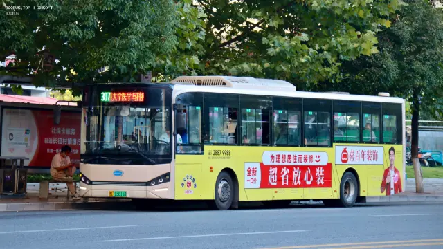 贵C 03815D