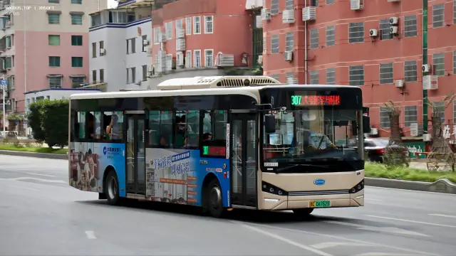 贵C 04762D