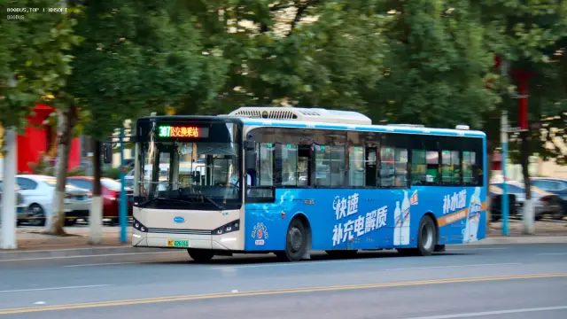 贵C 02616D