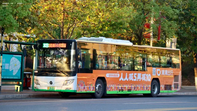贵C 08335D