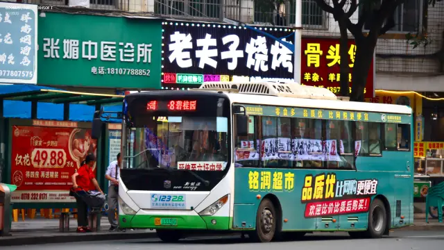 800BUS