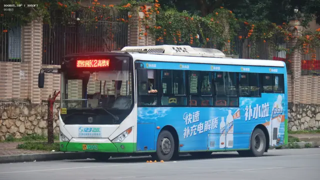 800BUS