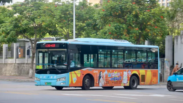闽D 06091D