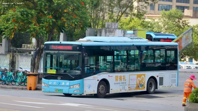 闽D 03157D