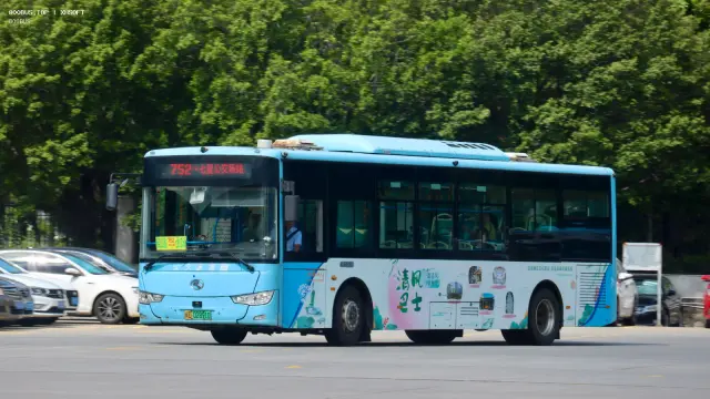闽D 02891D