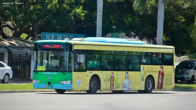 闽D 09233D