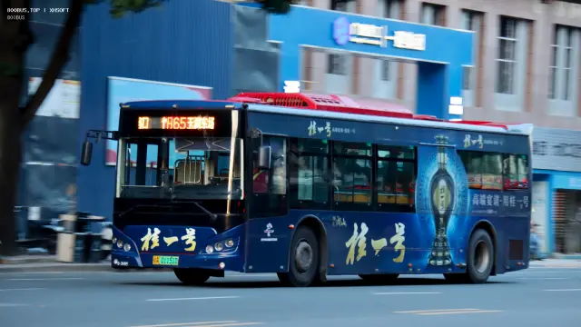 桂A 01151D