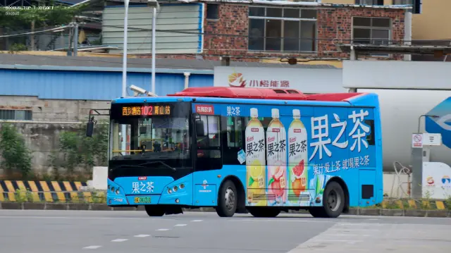 桂A 08131D