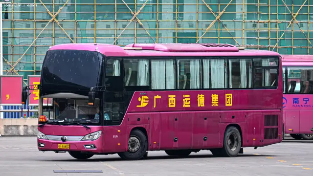 桂F A6600