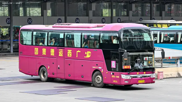 桂A P5988