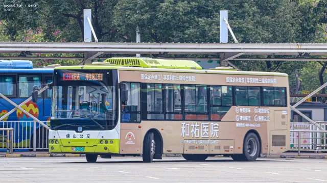 粤E 04094D