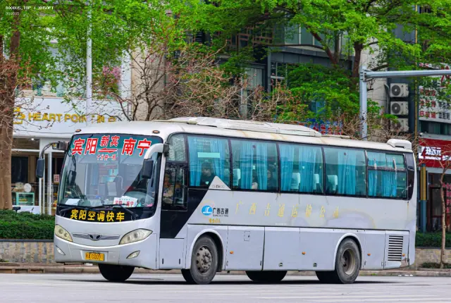 桂A C0091