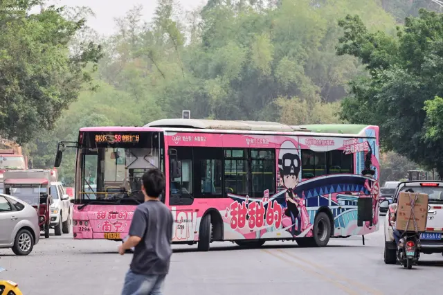 800BUS