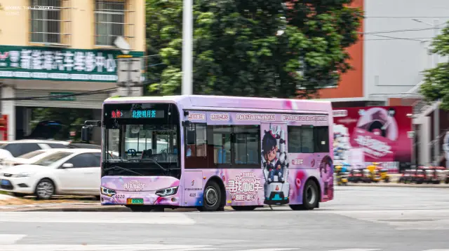 800BUS