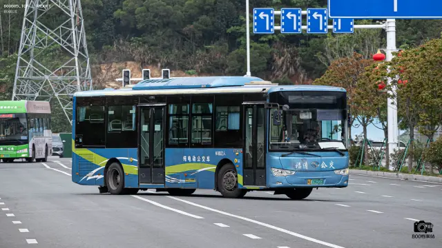 800BUS