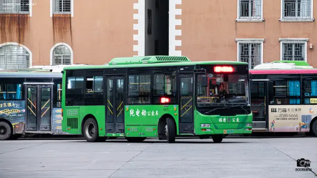 800BUS