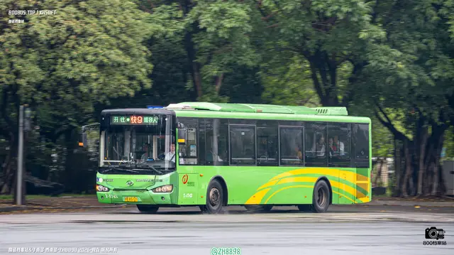 800BUS