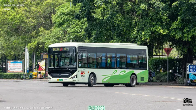 桂D 05289D