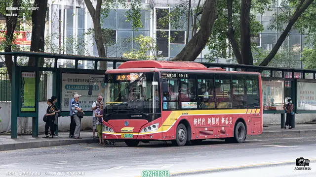 桂D 08182D