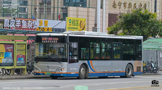 800BUS