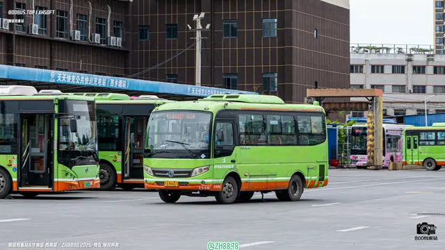 800BUS