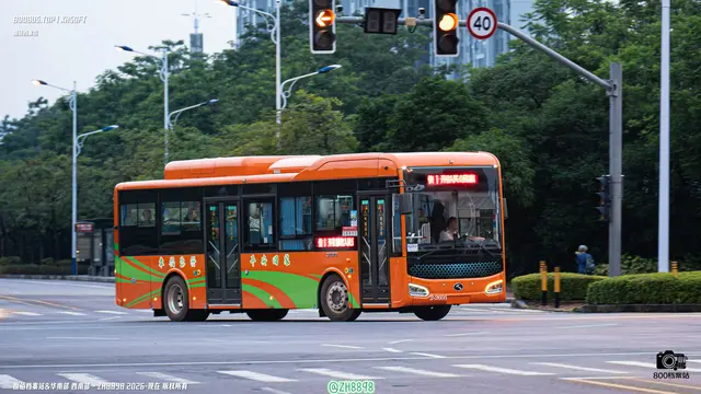 800BUS