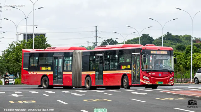 桂A 09991D