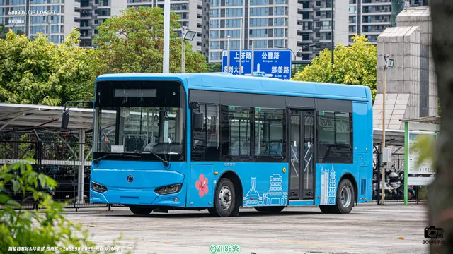 样车