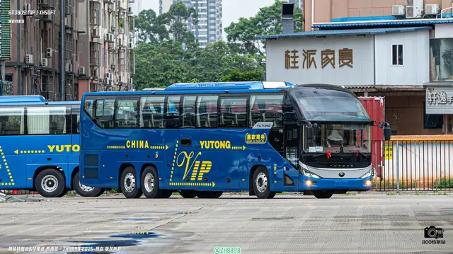 800BUS