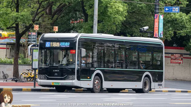 800BUS