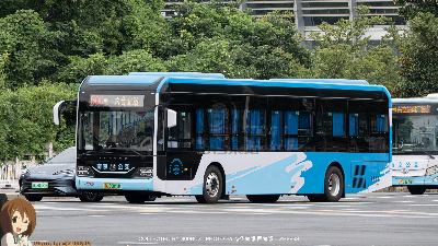 苏A 06041D