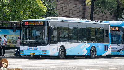 苏A E6793
