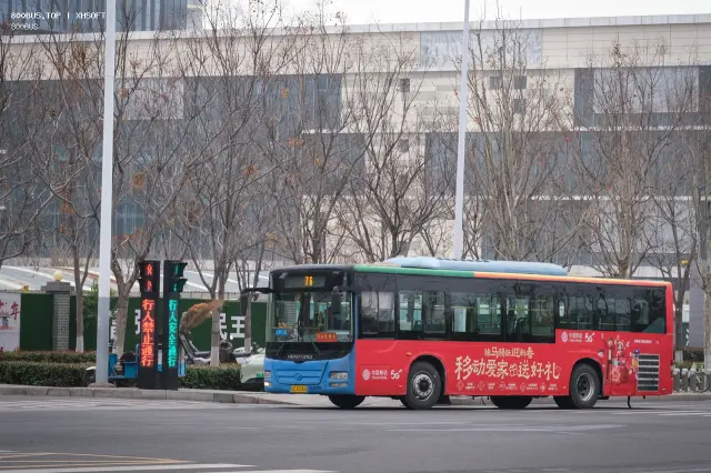 800BUS