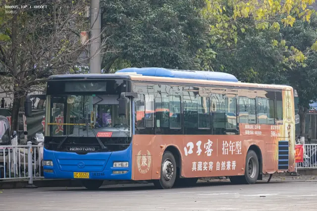 800BUS