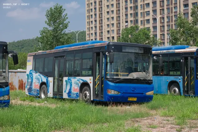 800BUS