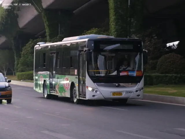 800BUS