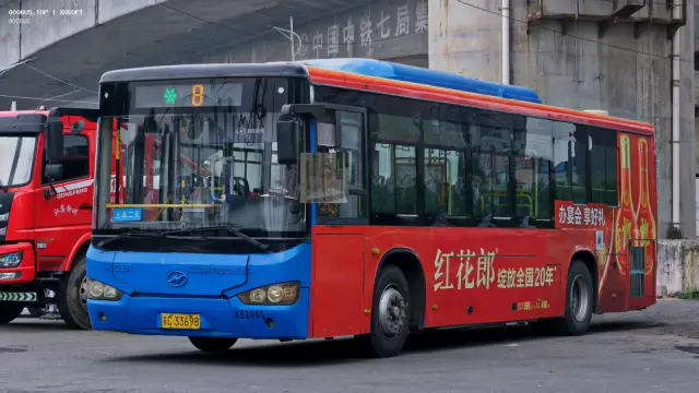 苏C 33698