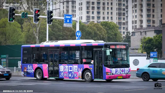 苏L 67771