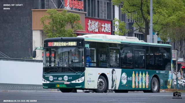 800BUS