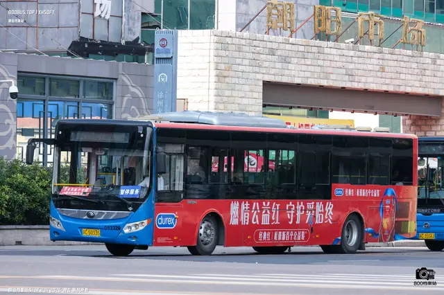 800BUS