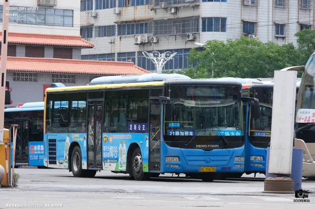 800BUS