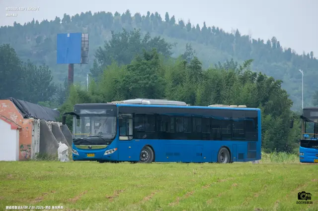 苏C 35722