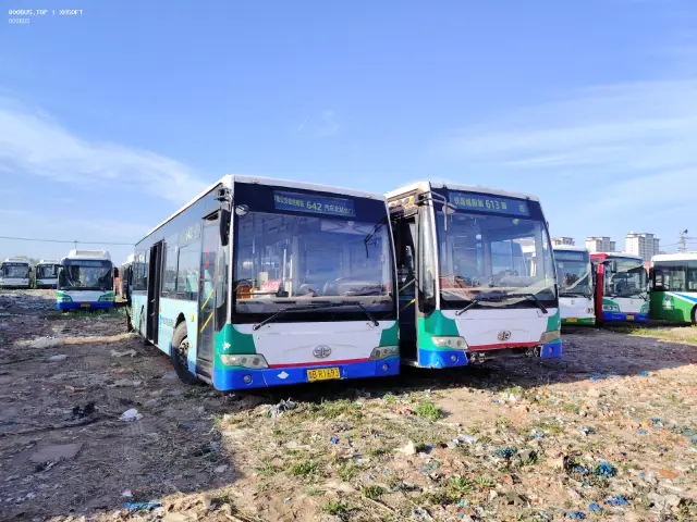 800BUS