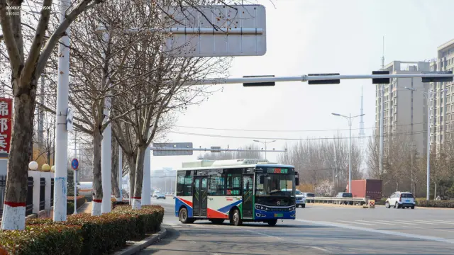 800BUS