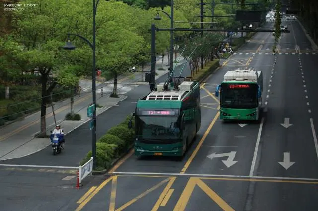 浙A4H317