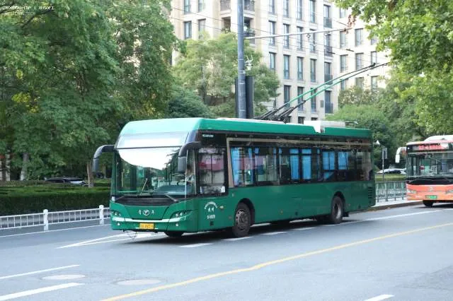 浙A4H316