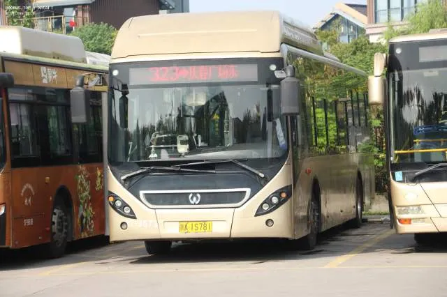 浙A1S781
