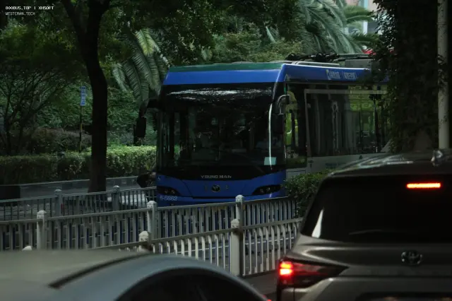 800BUS