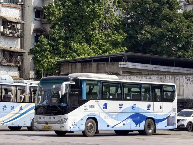 川C31401