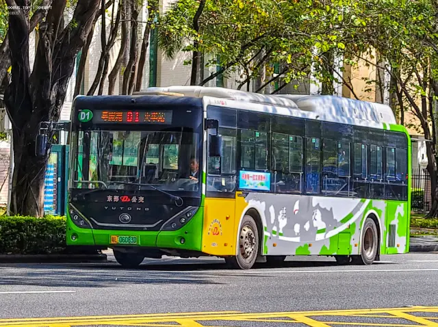 800BUS